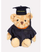 Graduation Bear (Bachelor's Degree)